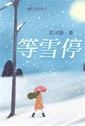 等雪停